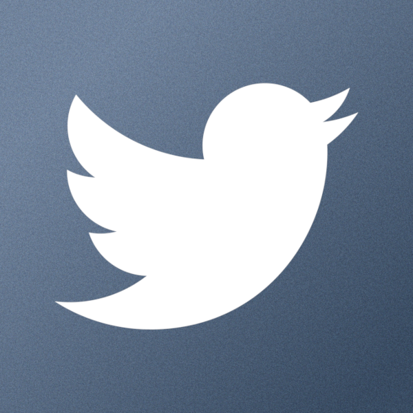 The Twitter logo, a white bird, on top of a blue background